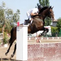 Poni Club