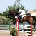 Poni Club