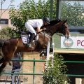 Poni Club