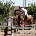 Poni Club