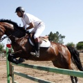 Poni Club