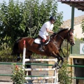 Poni Club