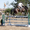 Poni Club