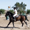 Poni Club