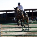 Poni Club