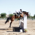 Poni Club