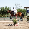 Poni Club