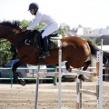 Poni Club
