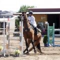 Poni Club