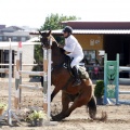 Poni Club