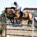 Poni Club