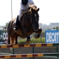 Poni Club
