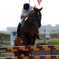Poni Club