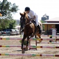 Poni Club