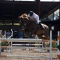 Poni Club