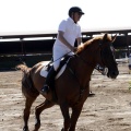 Poni Club