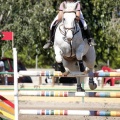 Poni Club