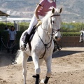 Poni Club