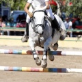 Poni Club