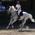 Poni Club