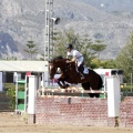 Poni Club