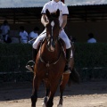 Poni Club