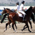 Poni Club