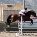 Poni Club
