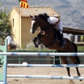 Poni Club