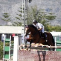 Poni Club