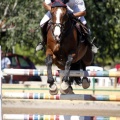 Poni Club