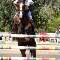 Poni Club