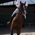 Poni Club