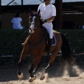 Poni Club