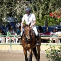 Poni Club