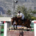 Poni Club