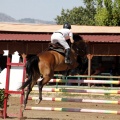 Poni Club