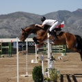 Poni Club