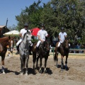 Poni Club