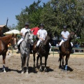 Poni Club