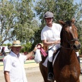 Poni Club