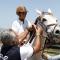 Poni Club
