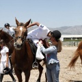 Poni Club