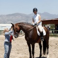 Poni Club