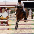 Poni Club