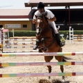 Poni Club