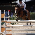 Poni Club