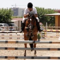 Poni Club