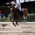 Poni Club