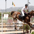 Poni Club